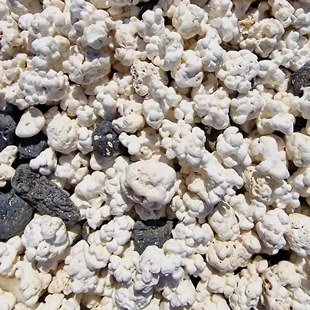 Fuerteventurapartments Apartmán Corralejo