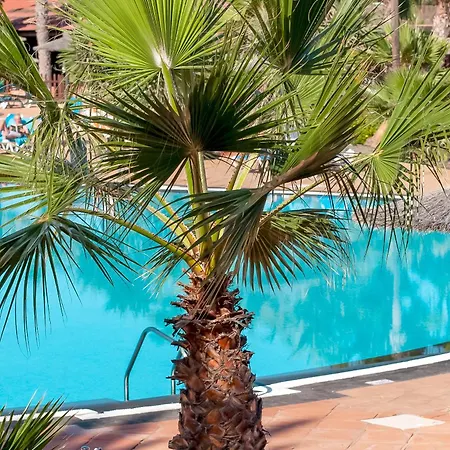 Lejlighed Fuerteventurapartments Corralejo