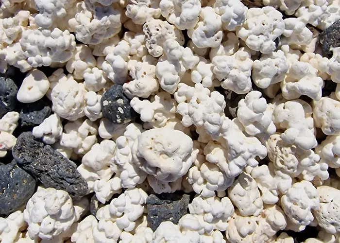 Fuerteventurapartments Appartement Corralejo